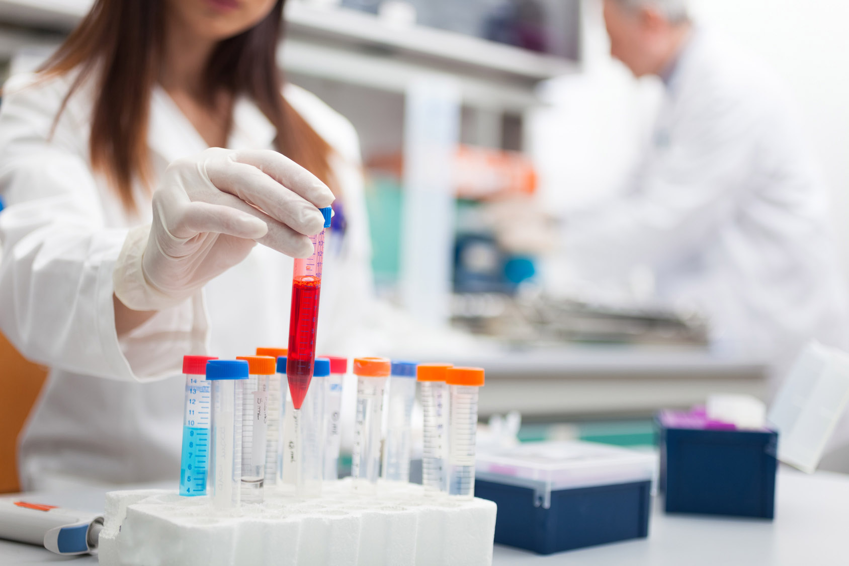 Scientist at work in a laboratory